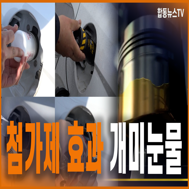 첨가제 효과 개미눈물